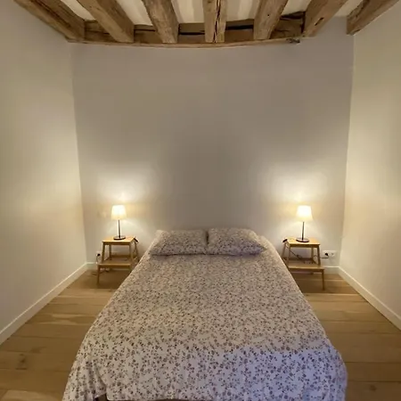Maison Historique Proche Chateau 別荘 アンジェ